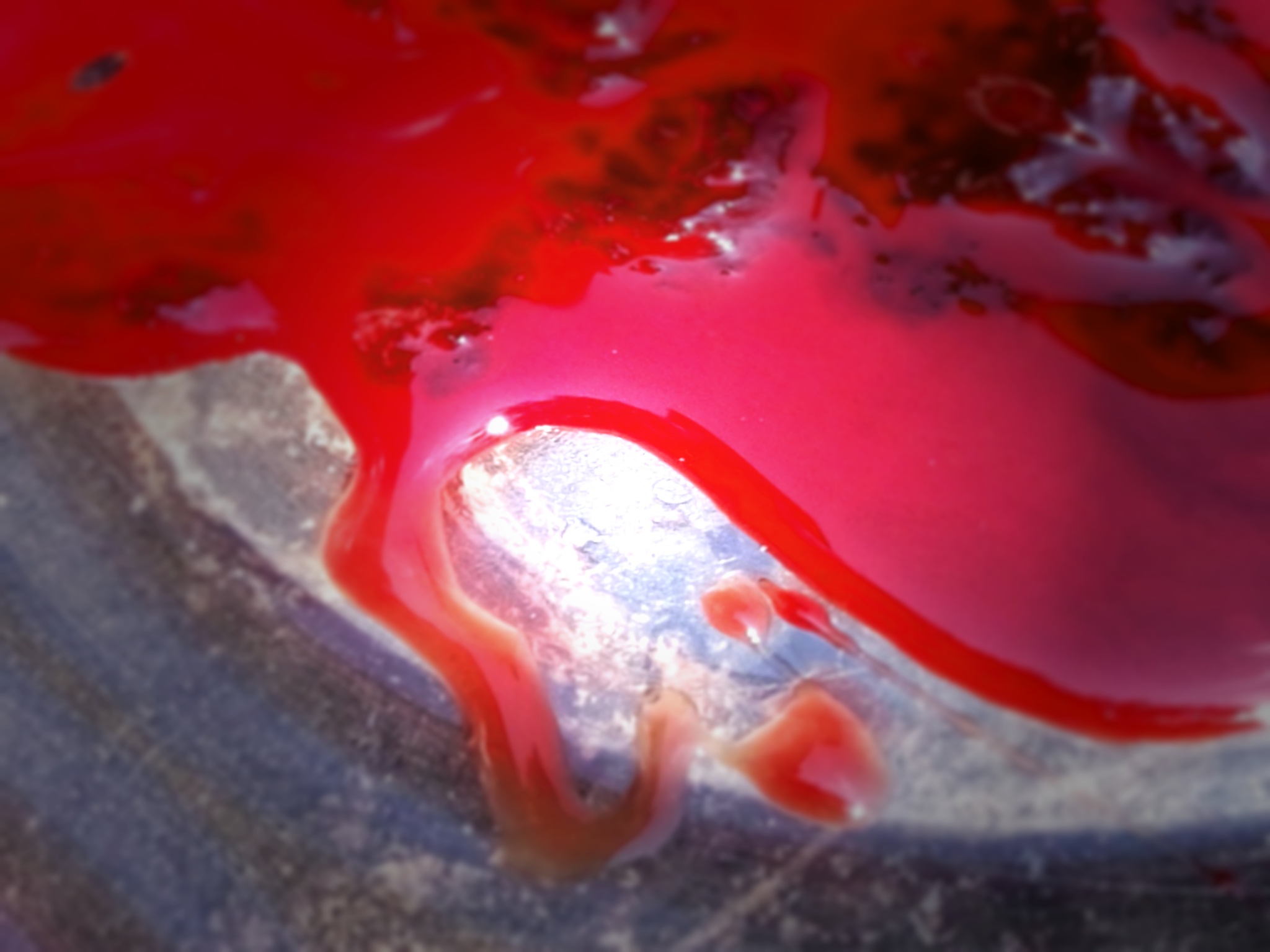 O que o sangue da menstruação diz sobre a saúde da mulher - BBC News Brasil
